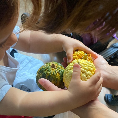 Esperienze sensoriali